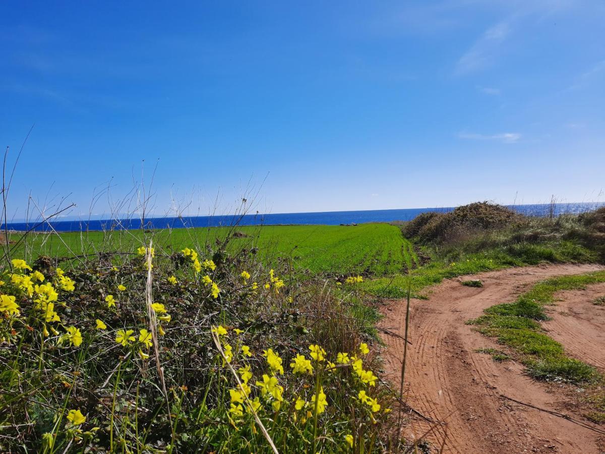 Fata Morgana * Casamassella