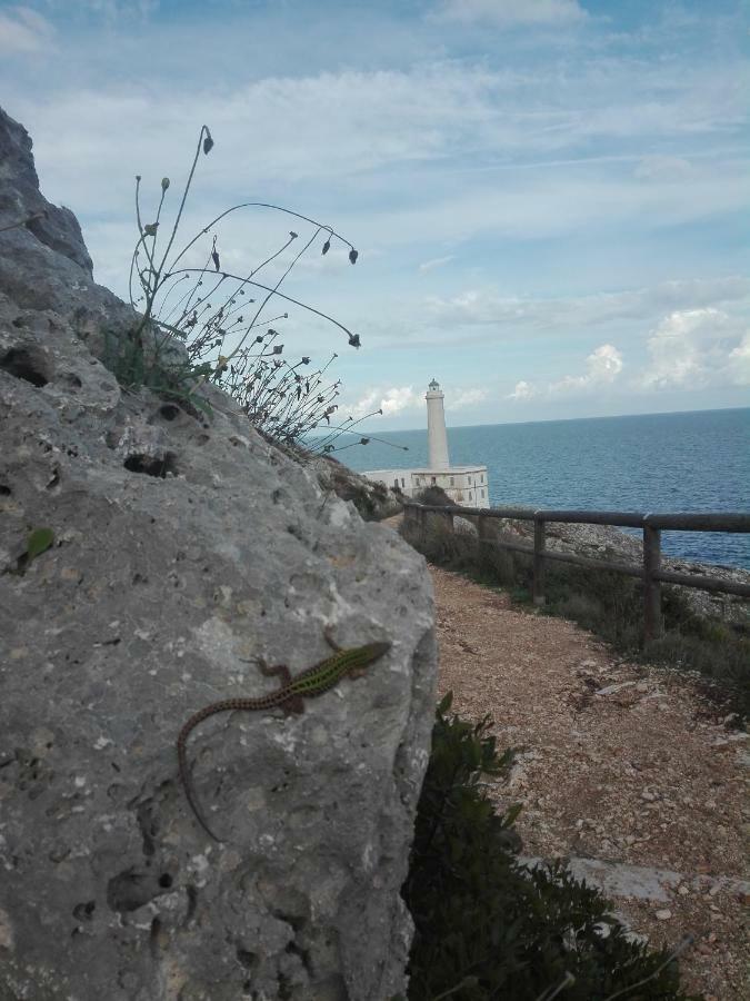 Fata Morgana Holiday home Casamassella